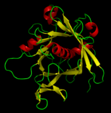 PyMol ribbon of the structure of the tubby protein (PDB: 1C8Z ) Tubby-1c8z-pymol.png