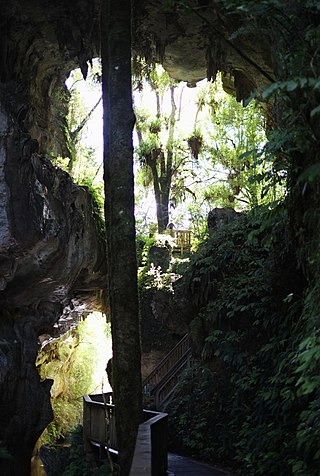 <span class="mw-page-title-main">Mangapohue Natural Bridge</span>