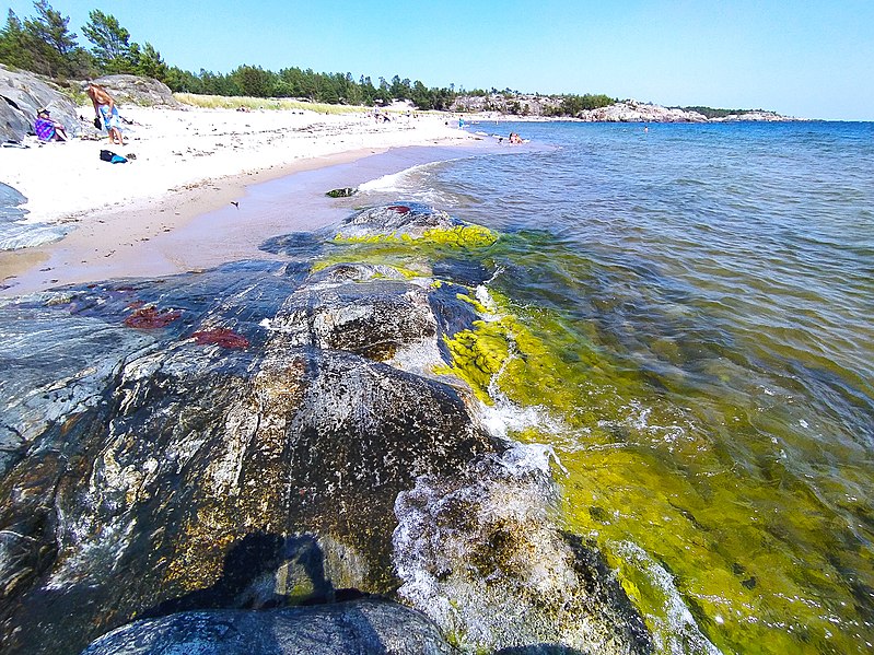 File:Utö naturreservat by the beach.jpg