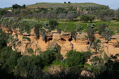 Valea Templelor - Agrigento - Italia 2015.JPG