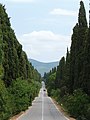 Viale dei Cipressi, Bolgheri