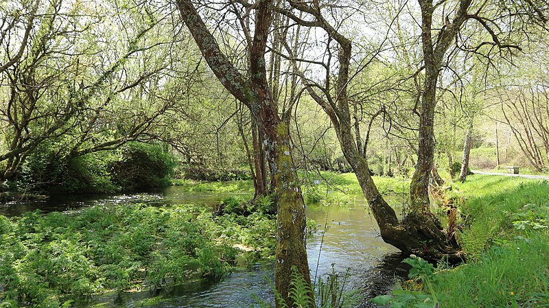 File:Vilalba rio Madalena 02.jpg