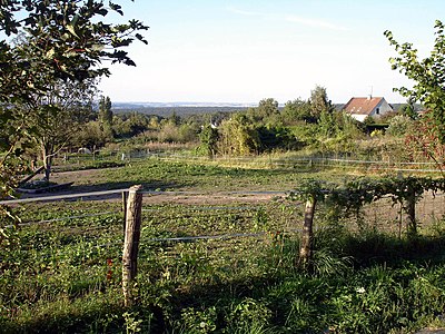 Forêt de L'Isle-Adam