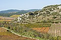 * Nomination Vineyards in Roquessels, Hérault, France. --Christian Ferrer 08:06, 18 November 2015 (UTC) * Promotion Good quality. --Poco a poco 21:09, 18 November 2015 (UTC)