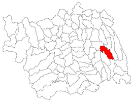 Vultureni - Carte