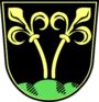 Wappen Traunstein.png