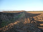 Lima barrows NW Heath Farm