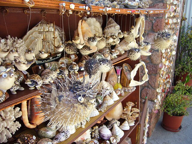 Assorted seashells, coral, shark jaws and dried blowfish on sale in Greece