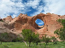 How a Navajo Scientist Is Helping to Restore Traditional Peach Horticulture  (U.S. National Park Service)