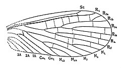 ilustracja