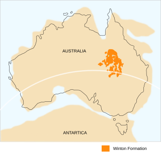 <span class="mw-page-title-main">Winton Formation</span> Geological formation in Australia