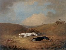 Дэн Уолстенхолм (1757—1837). Грейхаунды, догоняющие зайца