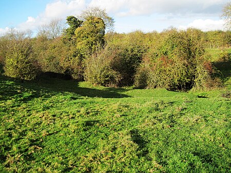 Wymeswold Meadows 4