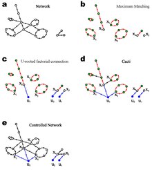 A schematic diagram shows the control of a directed network. For a given directed network (Fig. a), one calculates its maximum matching: a largest set of edges without common heads or tails. The maximum matching will compose of a set of vertex-disjoint directed paths and directed cycles (see red edges in Fig.b). If a node is a head of a matching edge, then this node is matched (green nodes in Fig.b). Otherwise, it is unmatched (white nodes in Fig.b). Those unmatched nodes are the nodes one needs to control, i.e. the driver nodes. By injecting signals to those driver nodes, one gets a set of directed path with starting points being the inputs (see Fig.c). Those paths are called "stems". The resulting digraph is called U-rooted factorial connection. By "grafting" the directed cycles to those "stems", one gets "buds". The resulting digraph is called the cacti (see Fig.d). According to the structural controllability theorem, since there is a cacti structure spanning the controlled network (see Fig.e), the system is controllable. The cacti structure (Fig.d) underlying the controlled network (Fig.e) is the "skeleton" for maintaining controllability. YYL2.pdf