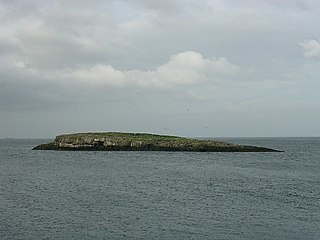 <span class="mw-page-title-main">Ynys Moelfre</span> Island off Anglesey, Wales