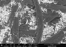 SEM image of wood pulp (dark fibers) and tetrapodal zinc oxide micro particles (white and spiky) in paper. ZnO paper.tif