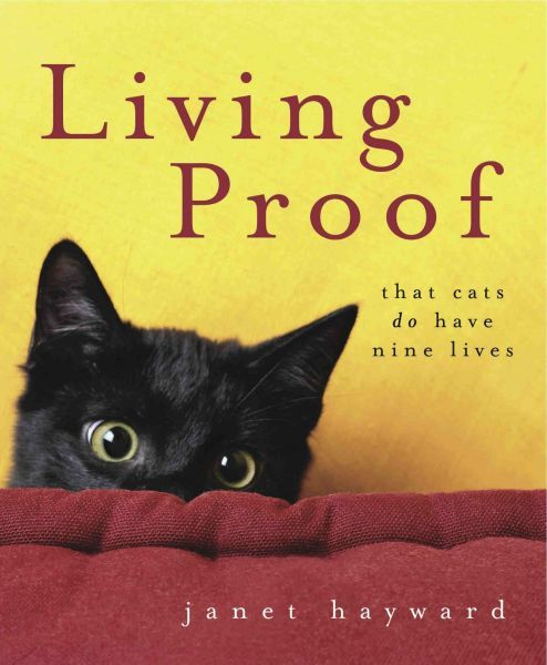 Delwedd:Living Proof That Cats Do Have Nine Lives.jpg