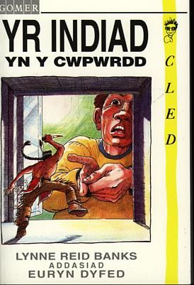 Delwedd:Cyfres Cled Indiad yn y Cwpwrdd, Yr (llyfr).jpg