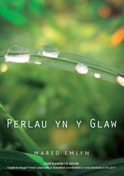 Delwedd:Perlau yn y Glaw - Pum Dawns i'r Delyn (llyfr).jpg