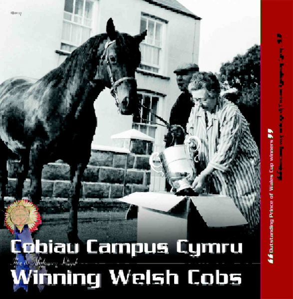 Delwedd:Cobiau Campus Cymru - Winning Welsh Cobs (llyfr).jpg