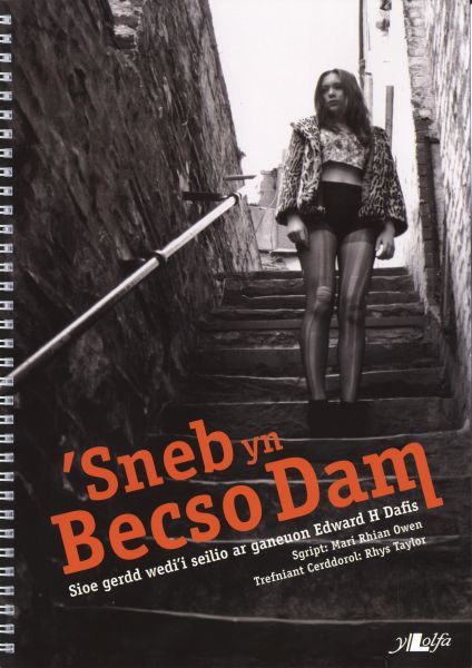 Delwedd:'Sneb yn Becso Dam (llyfr).jpg