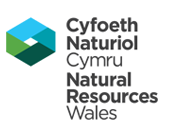 Cyfoeth Naturiol Cymru logo.png