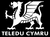 Wwn Teledu Cymru