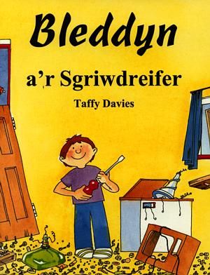 Delwedd:Bleddyn a'r Sgriwdreifer (llyfr).jpg