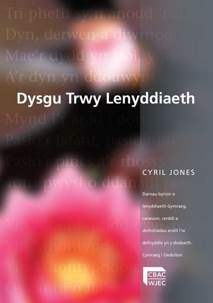 Delwedd:Dysgu trwy Lenyddiaeth (llyfr).jpg