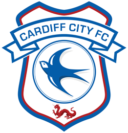 Thousands of Cardiff City fans march against club's blue to red rebrand -  BBC News