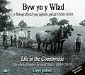 Bawdlun am Byw yn y Wlad 1850-2010