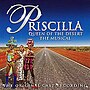 Bawdlun am Priscilla Queen of the Desert - the Musical