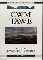 Bawdlun am Cwm Tawe (llyfr)