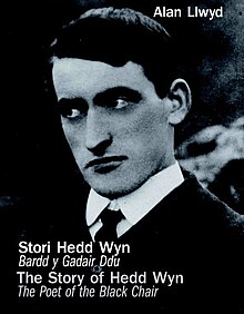 Stori Hedd Wyn - The Story of Hedd Wyn (llyfr).jpg