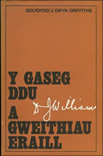 Bawdlun am Y Gaseg Ddu