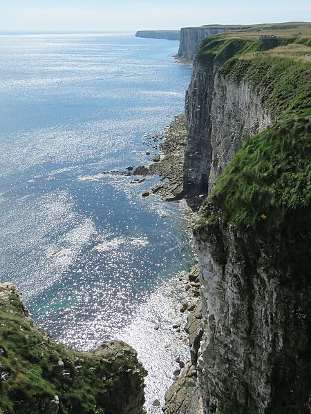 Delwedd:Bempton01LB.jpg