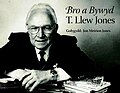 Bawdlun am Bro a Bywyd: T. Llew Jones