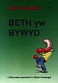 Beth yw Bywyd? - Atebion i'r Cwestiynau Mawr (llyfr).jpg