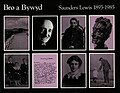 Bawdlun am Bro a Bywyd: Saunders Lewis 1893-1985