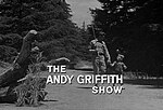 Bawdlun am The Andy Griffith Show