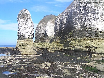 Clogwyni Flamborough