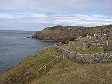 Ynys Môn: Enwaur ynys, Daeareg a Daearyddiaeth, Bywyd gwyllt