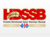 HDSSB LOGO2.jpg