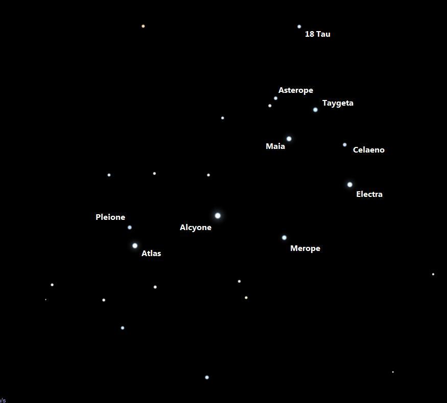 Созвездие звезды плейона. Плеяды в созвездии тельца. Астеропа звезда. Тайгета звезда. Альциона звезда в созвездии тельца.
