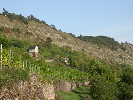 Datei:Gambacher-Kalbenstein.jpg