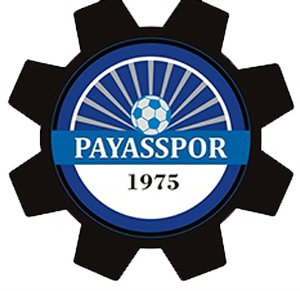 Datei:Payasspor.png