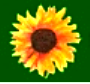 Datei:Oikologoi Prasinoi logo.png