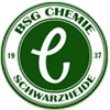 Bsg-chemie-schwarzheide.gif