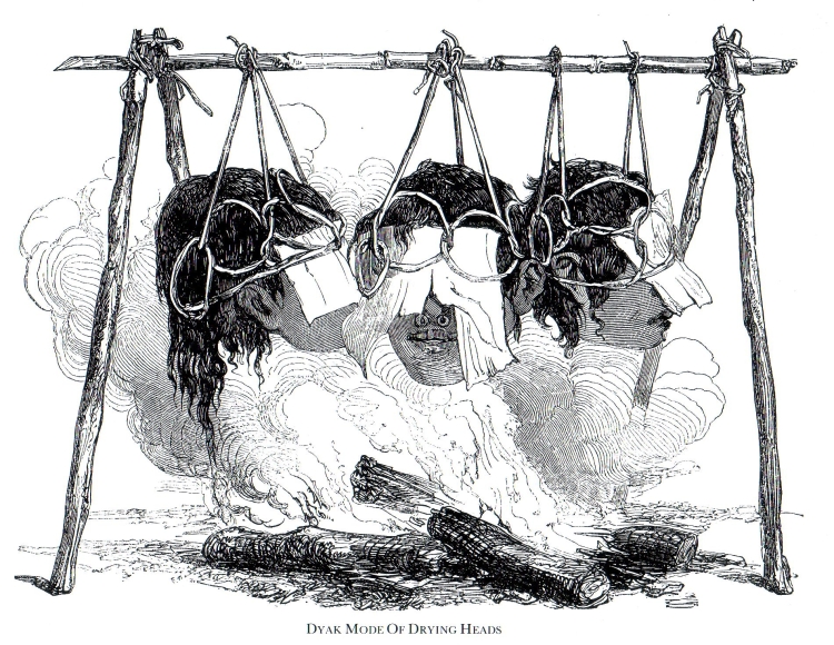 Datei:Drying Heads.jpg