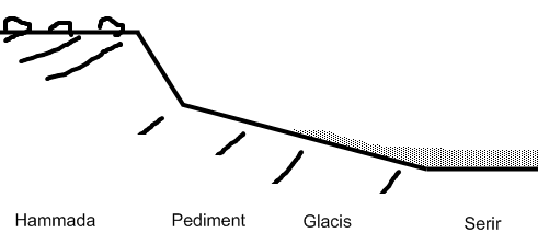 Schéma partiel de la catène aride-morphologique